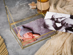 5x7" Gold Glass Photo Box