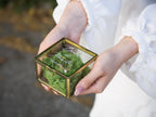 Square Gold Glass Ring Box with Moss