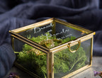 Square Gold Glass Ring Box with Moss