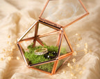 Geometric Glass Ring Box with Moss - Rose Gold or Gold - Personalized Ring Box for Wedding Ceremony, Ring Bearer Pillow Alternative